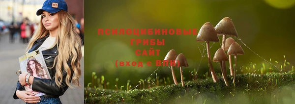 амф Михайловка