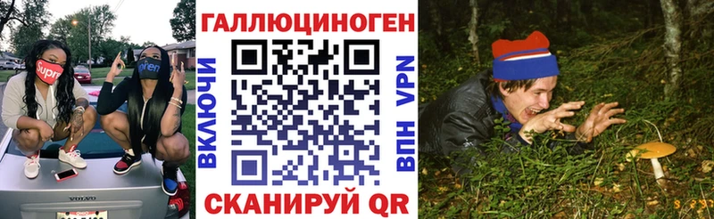 KRAKEN ССЫЛКА  Брюховецкая  Псилоцибиновые грибы Cubensis  цены  